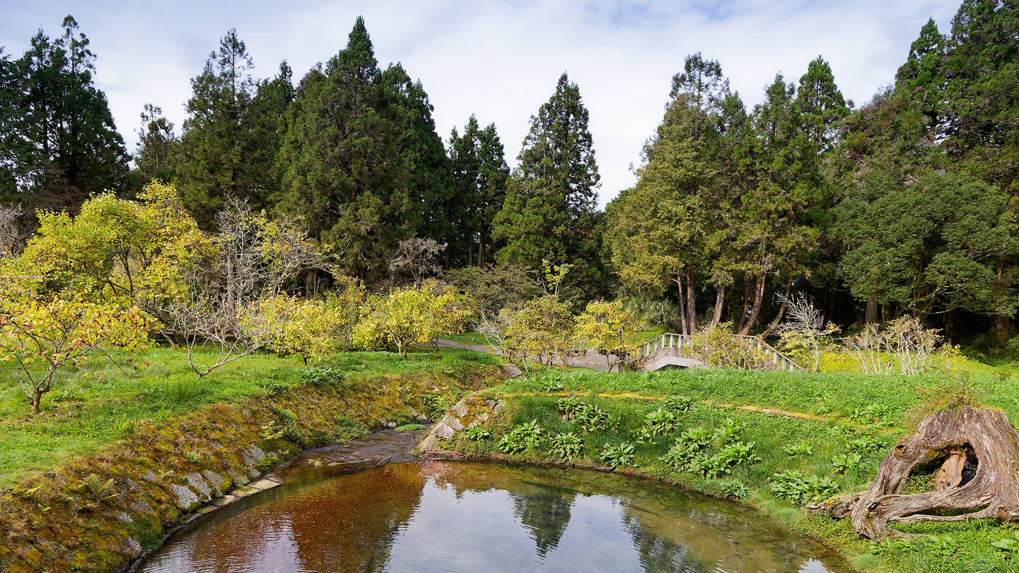 05 - Alishan (60).jpg